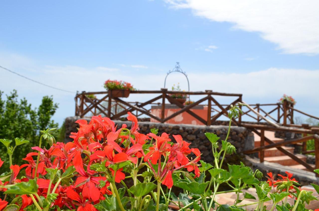 Feudo Magazzeni Etna Vakantieboerderij