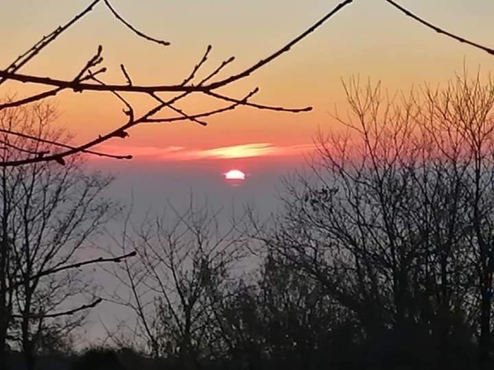 Feudo Magazzeni Etna Alojamento de Turismo Rural