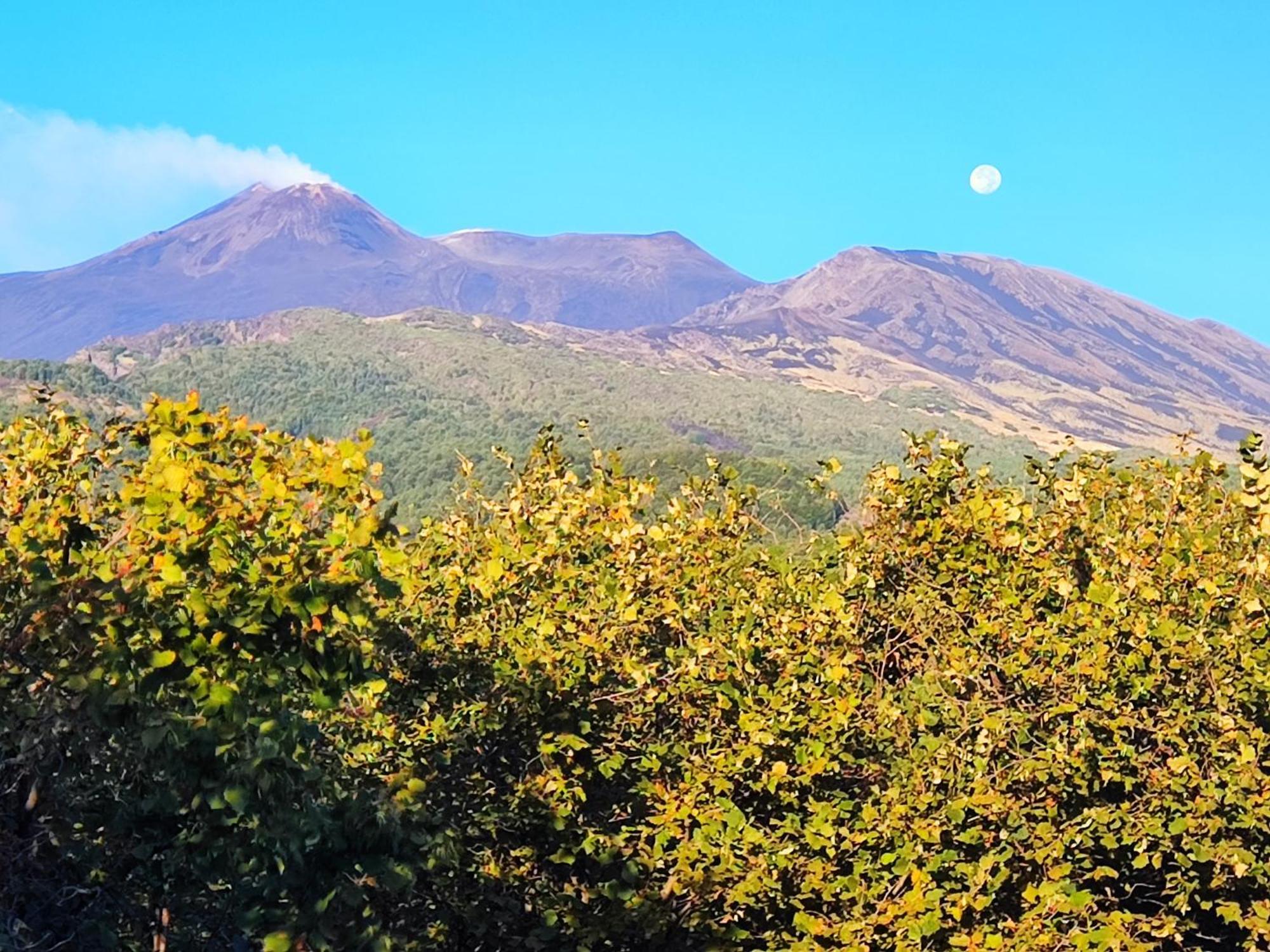 Alojamento de Turismo Rural Feudo Magazzeni Etna SantʼAlfio