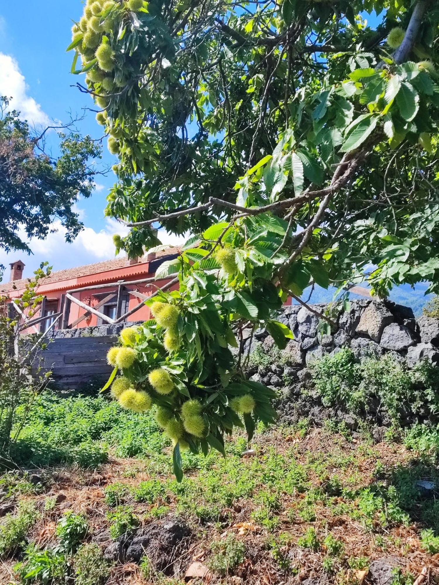 Feudo Magazzeni Etna Alojamento de Turismo Rural *